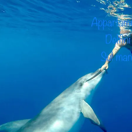 아파트 Delfini Terza *