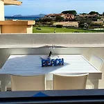 Delfini Terza