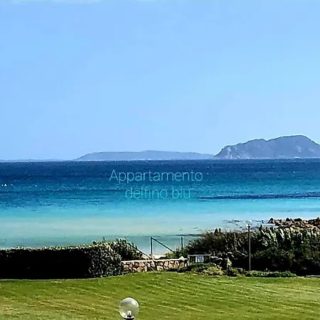 Delfini Terza * Golfo Aranci