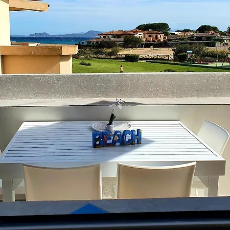 Delfini Terza