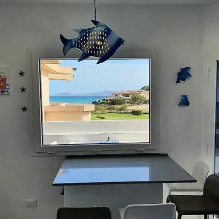 Delfini Terza