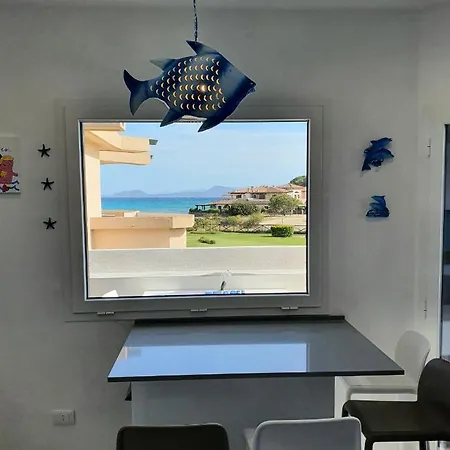 Delfini Terza